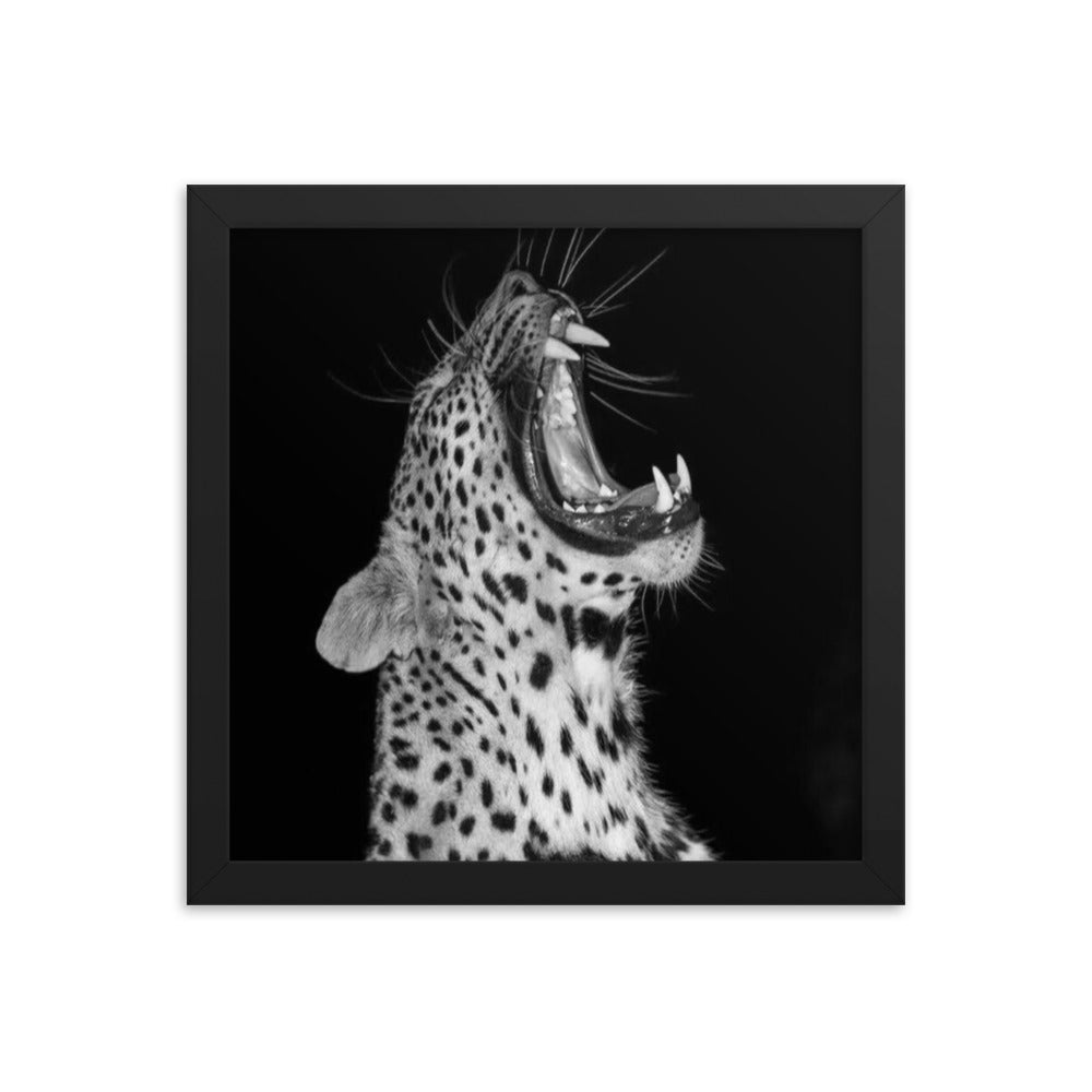 Leopard Framed Poster