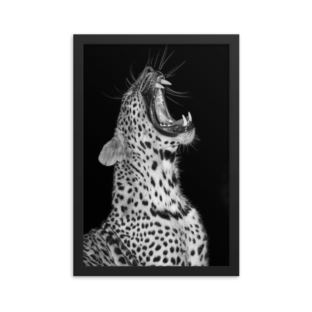 Leopard Framed Poster