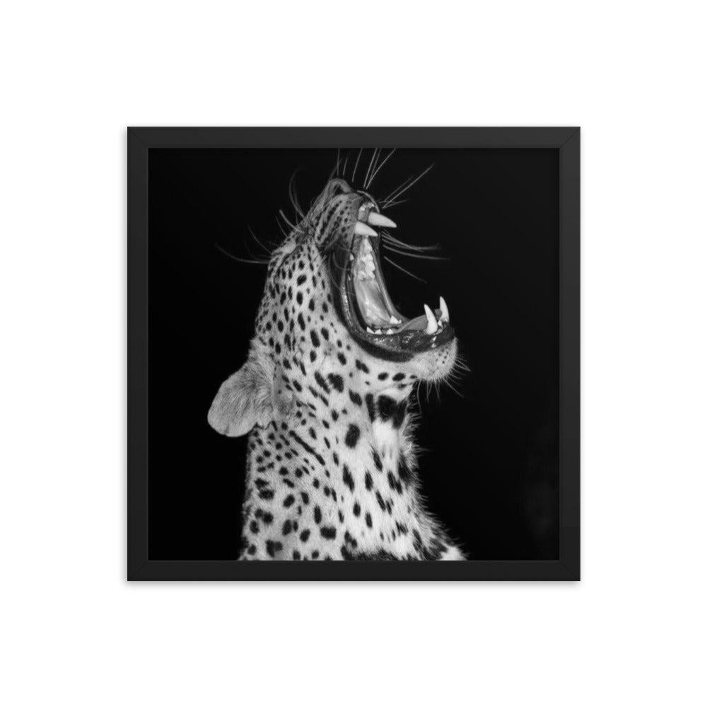 Leopard Framed Poster