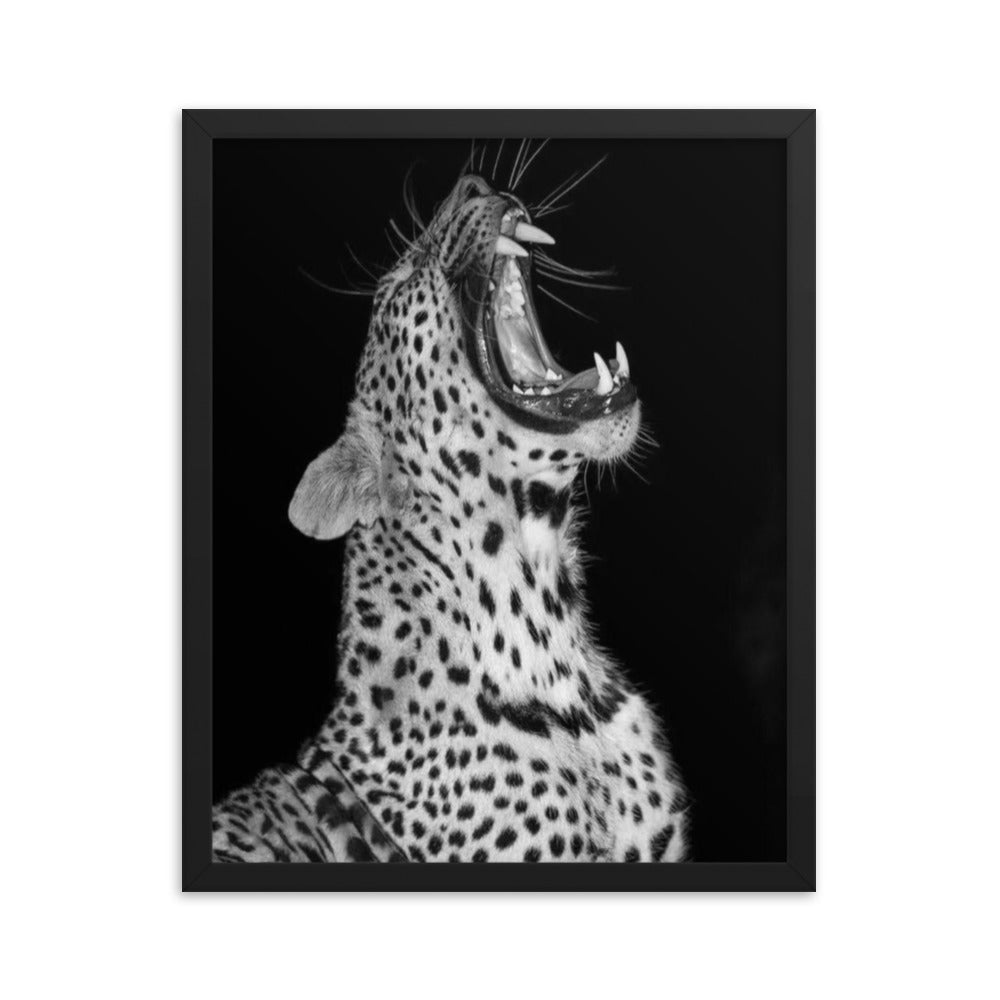 Leopard Framed Poster