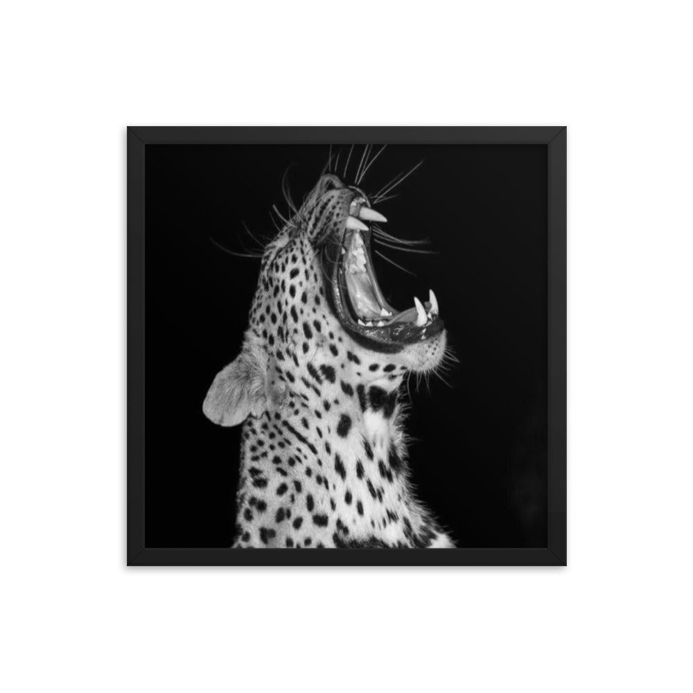 Leopard Framed Poster