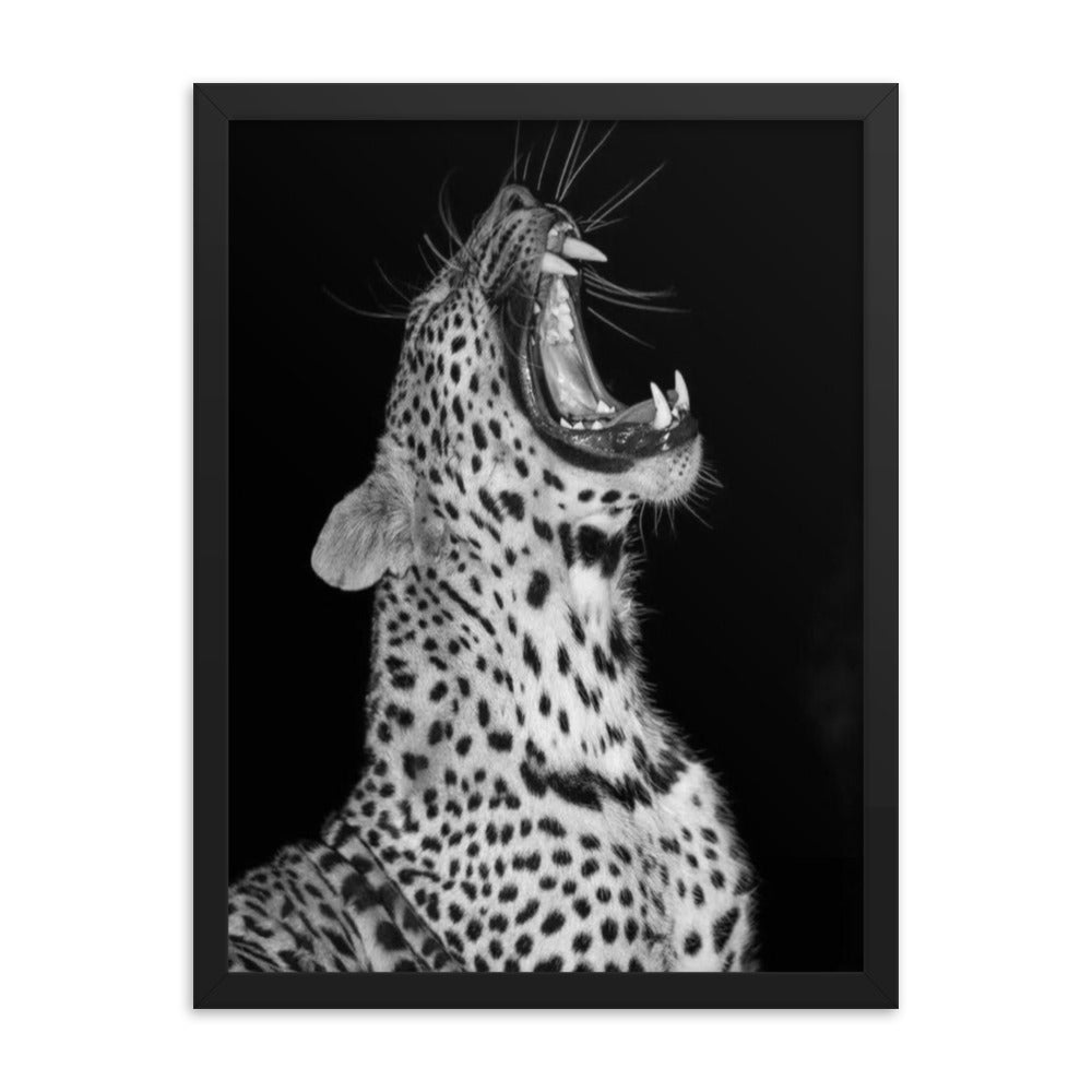 Leopard Framed Poster